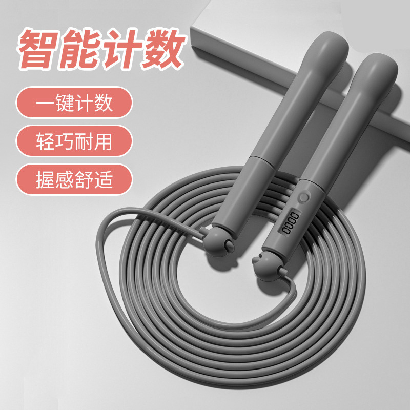 펜홀더 카운팅 모델 - 블랙티 그레이