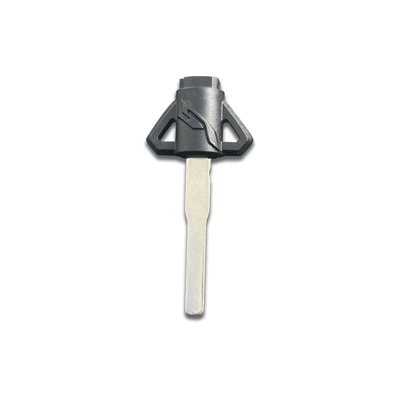Magnets, Covered Light Plate, Motorcycle Key