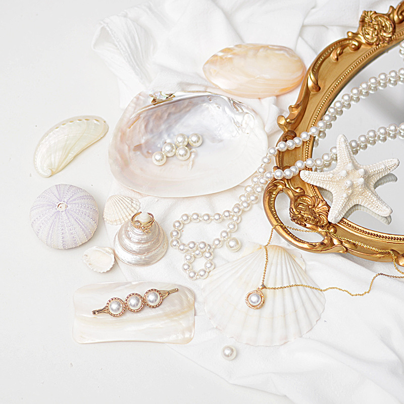 Natural Shell Decorative Ornaments Jewelry Display Tray Jewelry Jewelry Display Tray Manicure Photo Photography Props