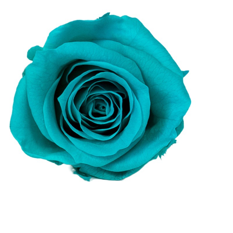 Yunnan Naxi Queen flor eterna 2-3cmB Rosa flor preservada al por mayor hecho a mano bricolaje flor material chino Día de San Valentín