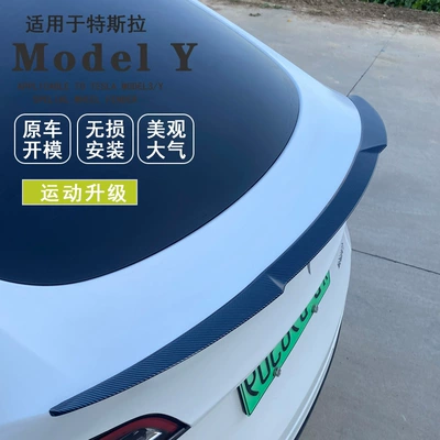 Fixed wind wing, Tesla's New Version Modely Carbon