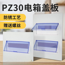 pz30������w���ͥ�_�P����及����w����늱�����_���w��