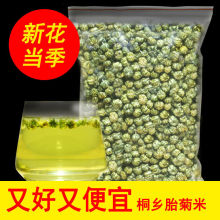 胎菊米菊花茶桐乡胎菊花茶新花干野菊散装胎菊小米杭州胎菊花