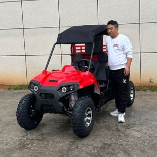 3000W늄ӎ����r��܇��݆늄�܇�����늳ؿ�����ȫ����܇UTV