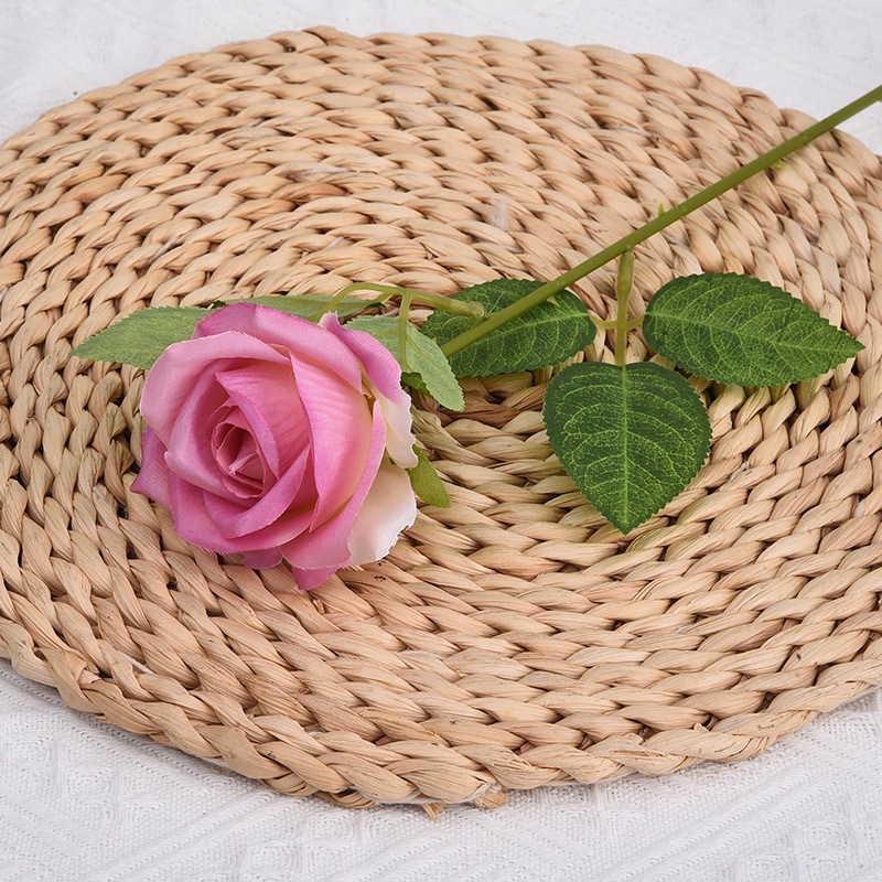작은 파리 그라데이션 퍼플