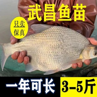 �Ĵ�����~�絭ˮ�~����KС�K�~���c�~���������~����ɳ߅���~��