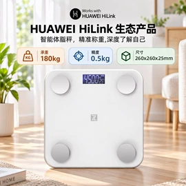 体重秤;厨房秤;手提秤
