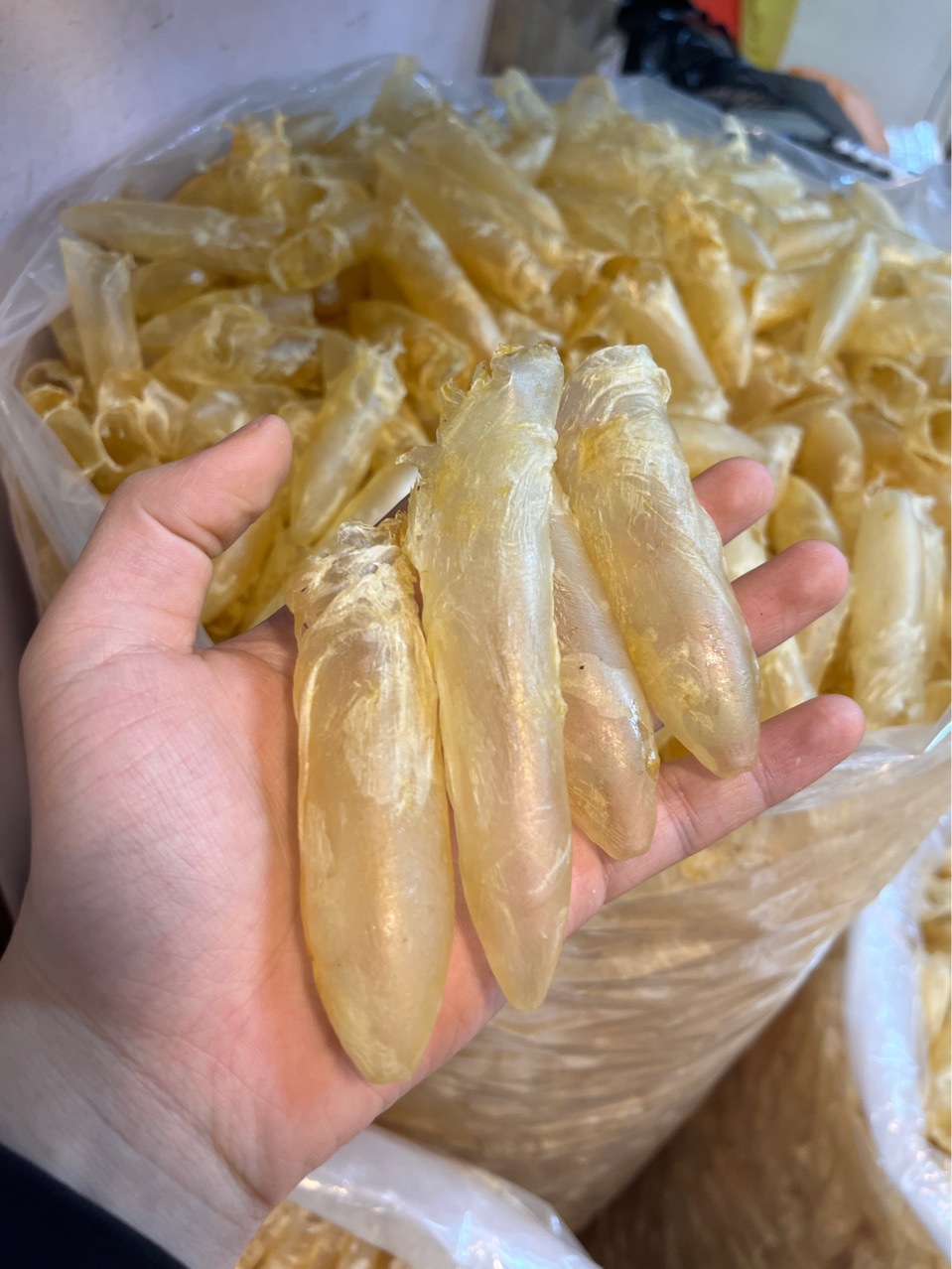 花胶筒鱼胶白花胶鸡蛋胶黄花筒清水咸水筒胶45头100头/斤胶原蛋白-阿里巴巴