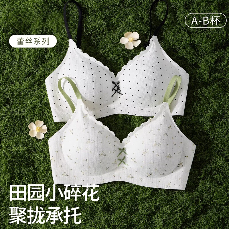Pastoral Floral Pattern~Seamless Lace Bra for Women with Small Busts, Enhancing and Appearing Larger, Wireless, Gathers Side Breasts, Prevents Sagging Pastoral Floral Pattern~Seamless Lace Bra for Women with Small Busts, Enhancing and Appearing Larger, Wireless, Gathers Side Breasts, Prevents Sagging
