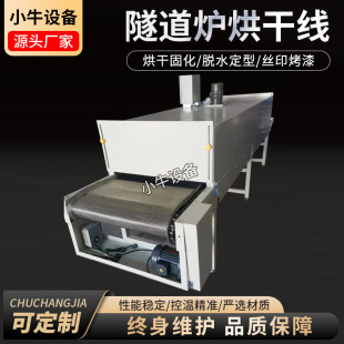 Manufacturers supply tunnel-type drying line drying road assembly line mesh belt belt assembly line Tieflong baking paint line