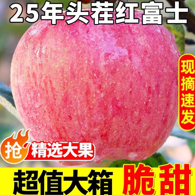 Authentic Red Fuji Apples, Crispy, Sweet, Juicy, Fresh Seasonal Fruit, Paper Bag Crispy Sweet Apples, Whole Box Free Shipping Wholesale