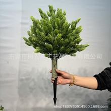 ����ز��ɰع���������Gֲ���ԼҾ�ͥԺ�̈���������b[����