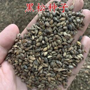 ���ɘ�N���ͺ��ͺ���ľ��N�������ļ��������ձ����ɷN�ӾG����