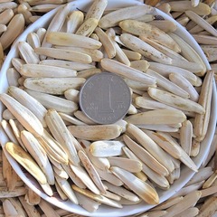 Xinjiang Specialty Aksu Pickled Bamboo Toothpick Melon Seeds Sunflower Seeds Nuts Snack Bag