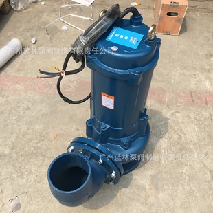 ������ˮ��ˮ�� 100WQ60-13�o�������۱�100MM���۱�