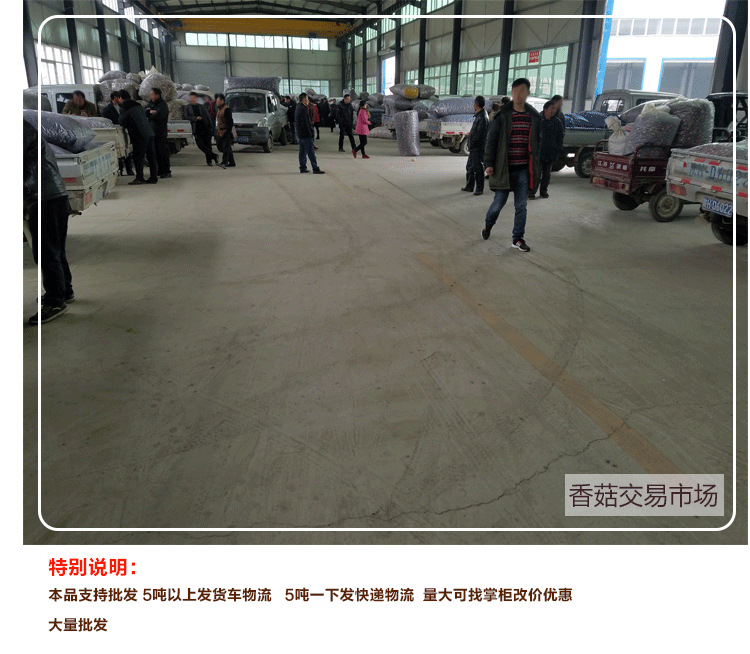 2020最新详情套用_12