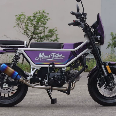 Motosikletlər Hs110-D Personalized