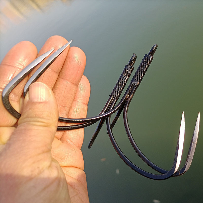 鲍博鱼体育- 博鱼体育官方网站- 博鱼体育最新网址鱼是鱼类吗 鲍鱼是不是鱼类的一种