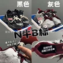 ͯN530N2024¿ӽqﶬͯpЬpϵЬ\ͯЬ