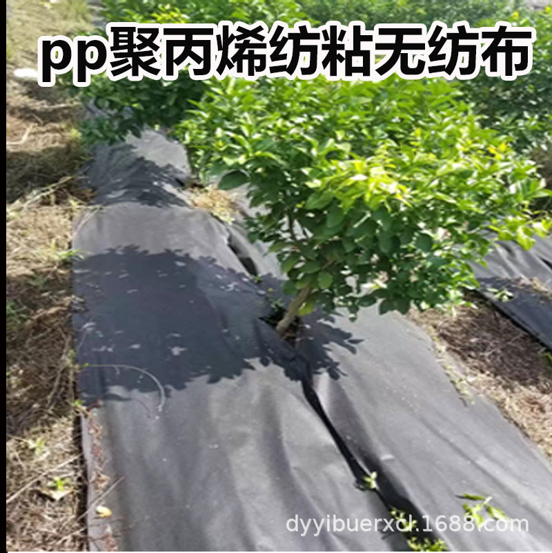 黑色防草布详情页