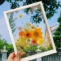 手工塑封双面压花画框