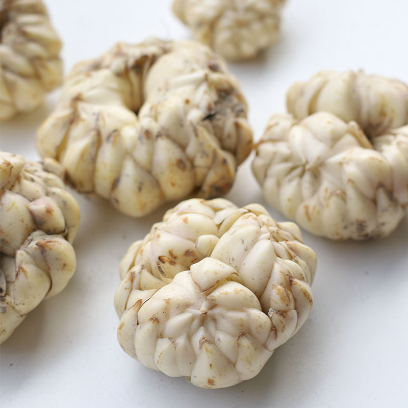 [Sf Express] Fresh Longya Lily from Longhui, Hunan, Seasonal Fresh Lilies, Freshly Dug and Shipped, 1.0kg Packs