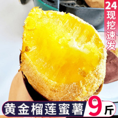 ＆本格ドリアンスイートポテト マサラスイートポテト フレッシュ 2.5kg ゴールデンスイートポテト スーパースイートマリッサスイートポテト フルボックス