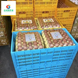 塑料桶;其他塑料包装;塑料箱