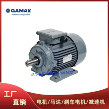 ������GAMAK늙C�R�_AGM 56 M 4b 71 80 90 110 120 132 160 180