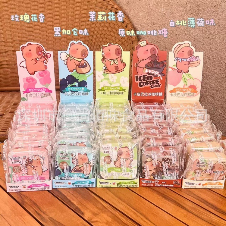 批发卡皮巴拉水果味薄荷糖润喉糖咖啡糖休闲糖果小零食12g10盒1组