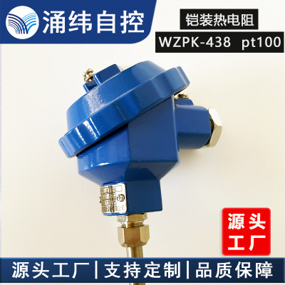 廠家直銷熱電阻 WZPK-438 pt100 防爆熱電阻 精度高防爆熱電阻