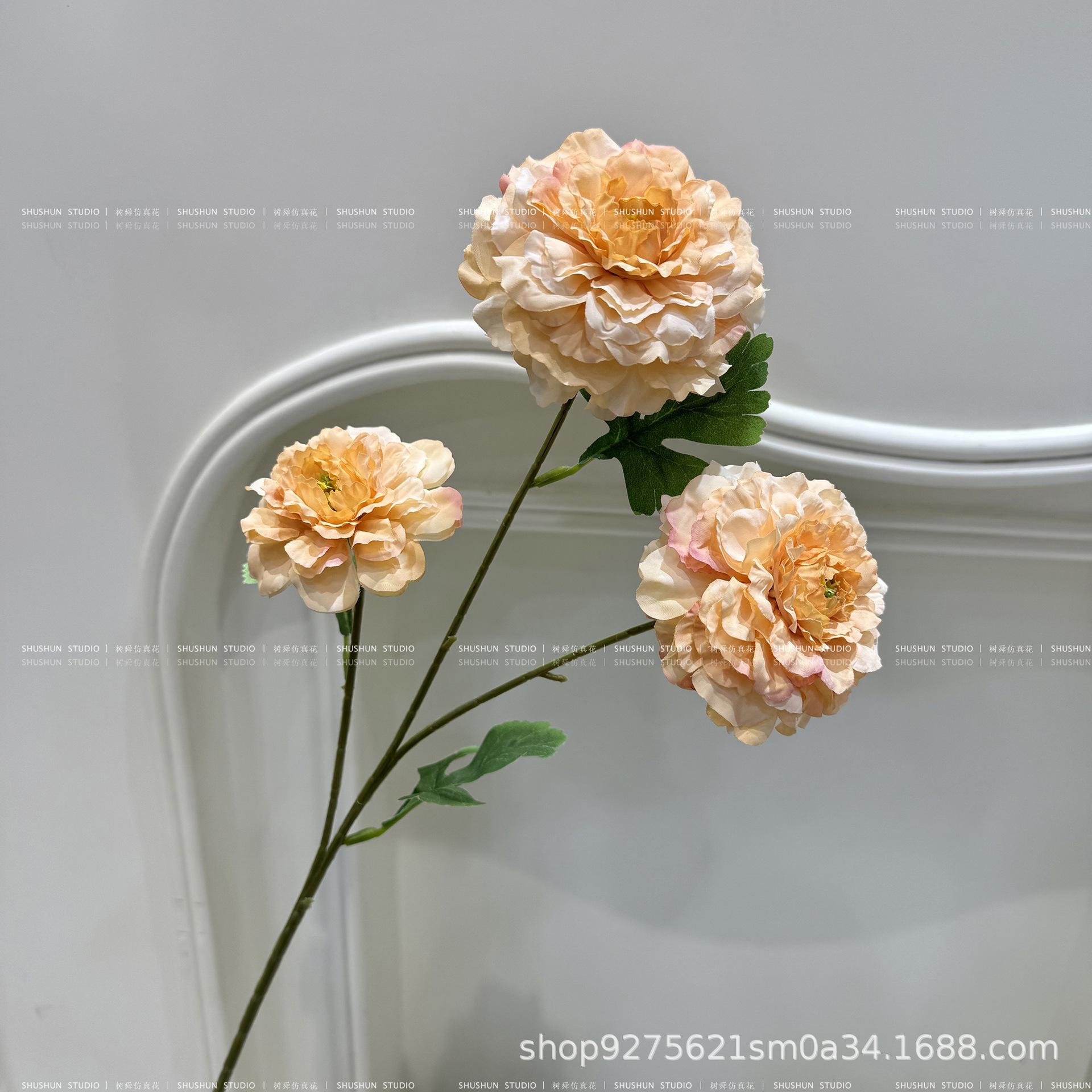3마리의 잉어 - 핑크 샴페인