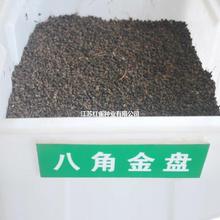  ˽ǽPN ֘N r ٛͼgY Ǫ܎