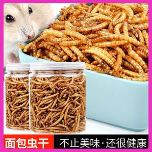 �Bʳ����x�����P�W�^�˸猣���B�Z��ü�B���网�����B���F�B���