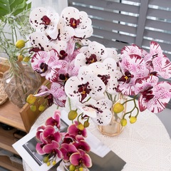 Manufacturer's home decoration and fragrant 5-head film Phalaenopsis artificial flowers cross-border wedding wholesale fake flowers CL09002