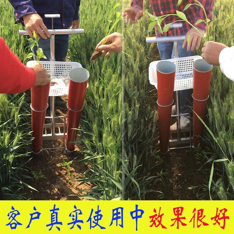 2024新款双行辣椒移栽机农用种菜栽苗工具玉米辣椒番茄载苗