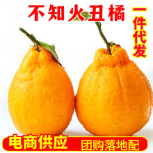 �Ĵ���֪�����һ�����l���rˮ���Ǵ�Ҋ�ҰҸ̳�����ӱ�Ƥ���l