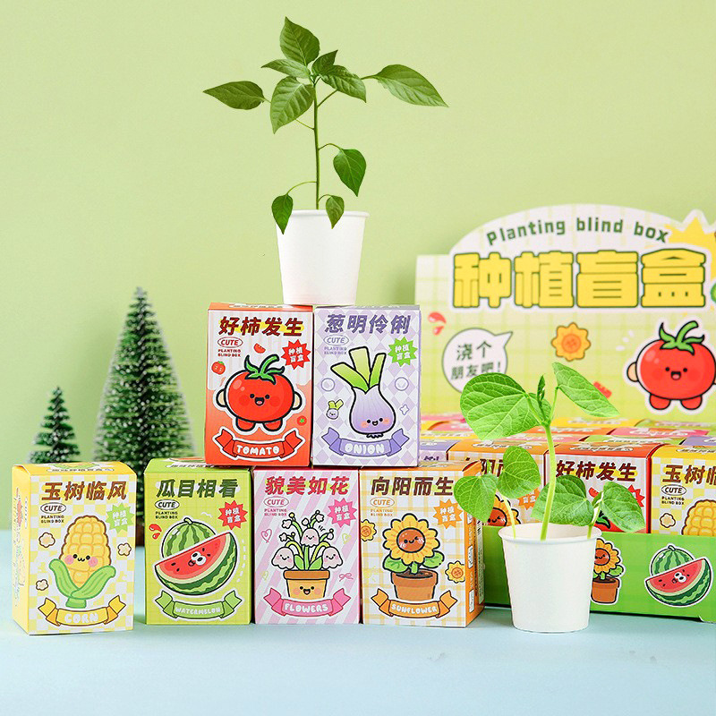 Regalos de apertura para estudiantes pequeños regalos de recompensa práctica DIY plantación de plantas ciegas caja de jardín de infantes regalo de premio para niños. image 3