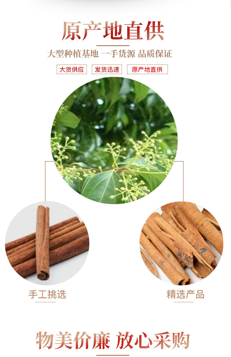 Dried Cinnamon Bark Rou Gui 500g Whole Peeling Culinary Spice and Traditional Herbal Ingredient preparation