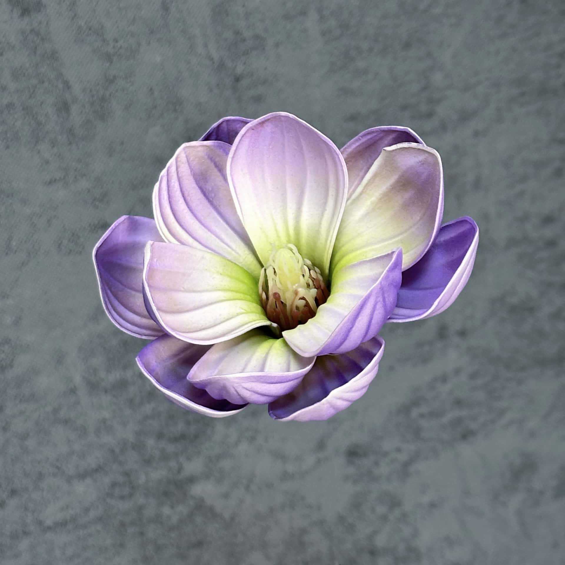 Flor de simulación transfronteriza EVA cabeza de magnolia 13cm tacto tocado kapok decoración decoración decoración flor falsa al por mayor