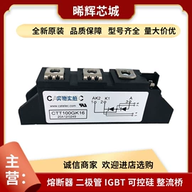 普通晶闸管;IGBT模块;其他二极管