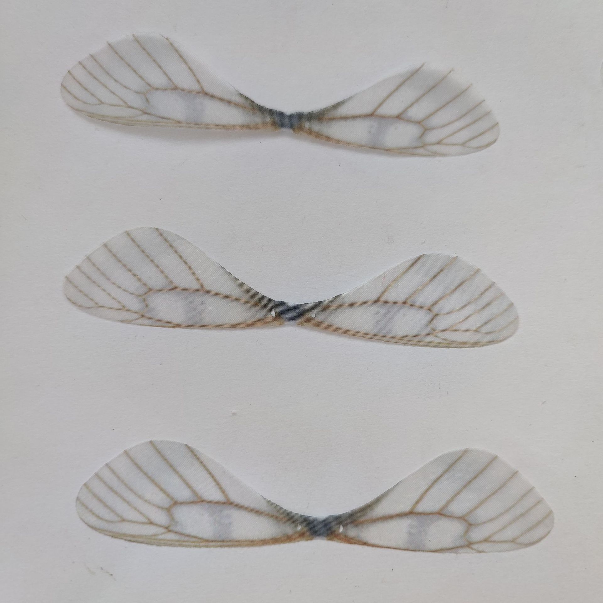 微信图片_20211109153446