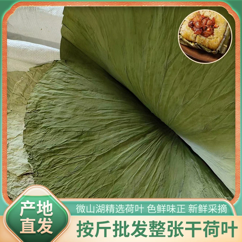 Весь Лист Лотоса Сухой Лист Лотоса Оптовая Цена Оптом Озеро Вэйшань Лист Лотоса Курица Клейкий Рис Курица Круглый Лист Лотоса Сухой Лист