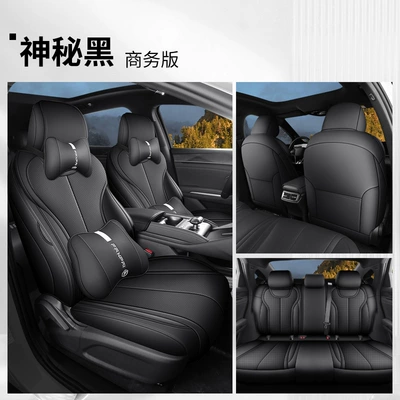 Cushion Song L Leather Seat – Four Seasons Pad - mysterious-black-cartoon-version-byd-song-l