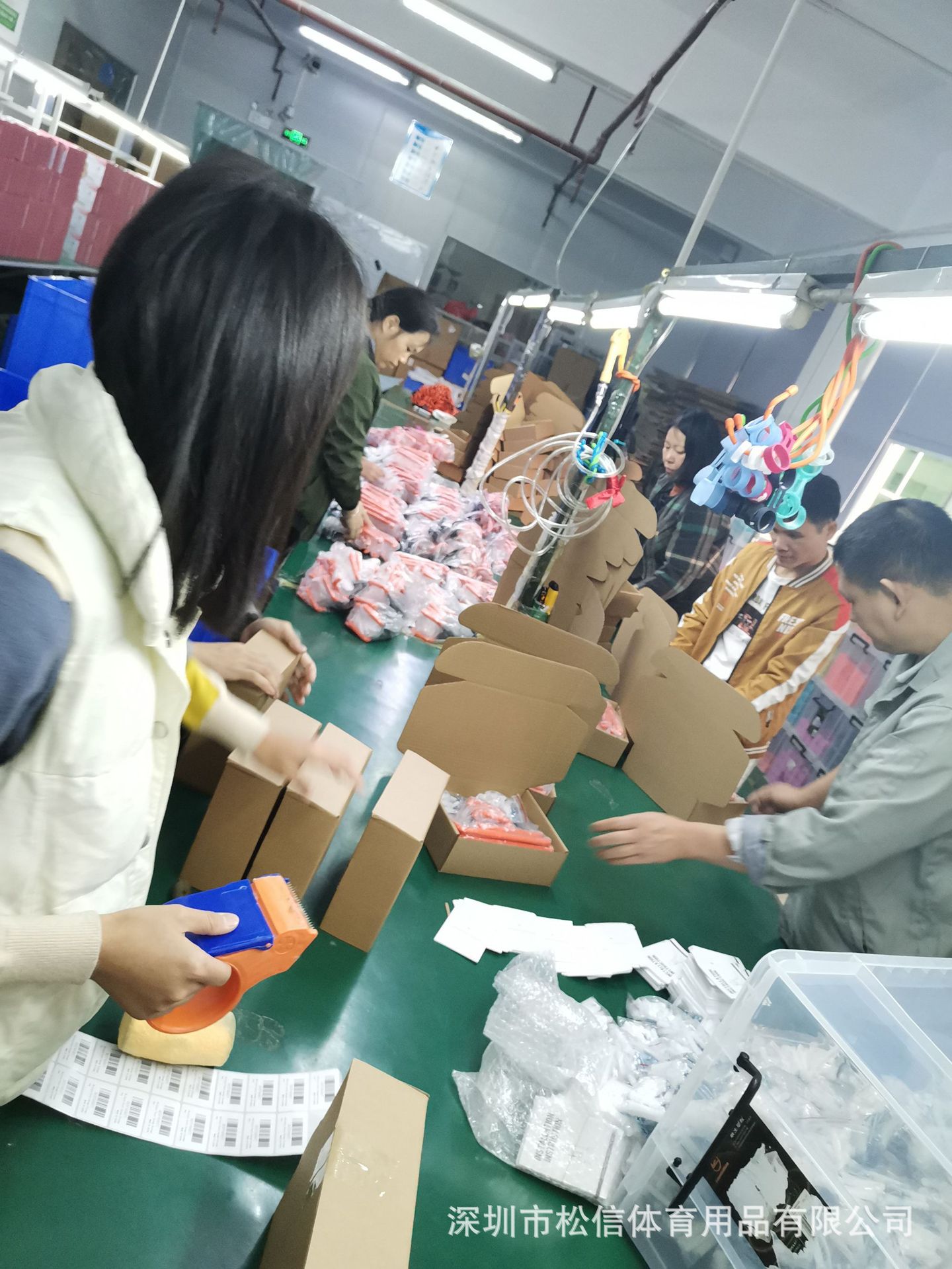 8466d2005b2bbb11eab8bf37246718