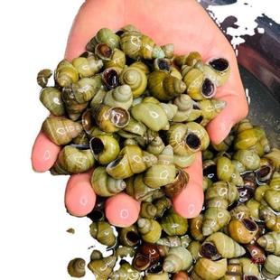 �������l������ݵ�ˮ�F؛�r�������ɳ�o������·�������w