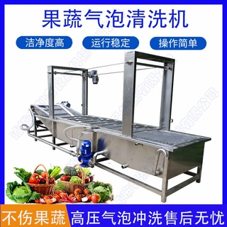 千禧果气泡喷淋清洗机 不锈钢蔬菜清洗机 多功能椰枣泡清洗机