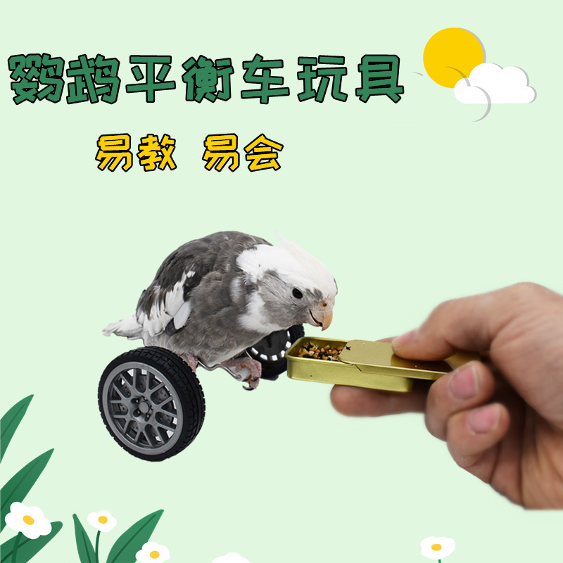 Parrot bird toy balance car Small Medium bird supplies pulley Skateboard skill training props Xuanfeng bird toy