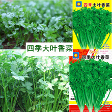 �ļ�����߲˷N���̨ͥԺ�Nֲ�S��ܾݴ�߲˲������l�N��Դ�^�S��