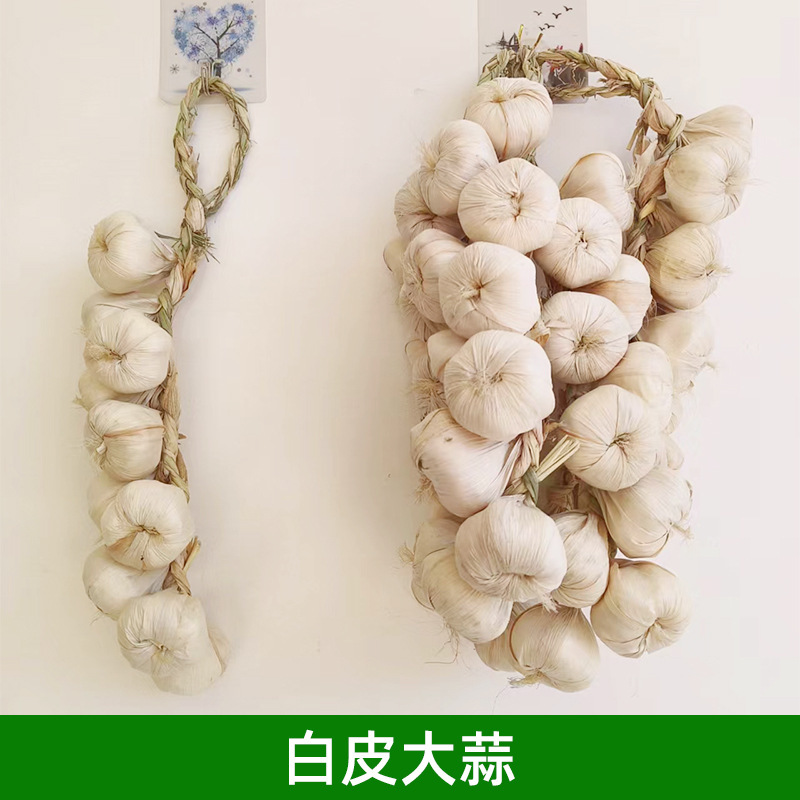 擬似野菜果物掛串偽トウモロコシ唐辛子ニンニク農家楽ホテル装飾品農作物模型掛串|undefined